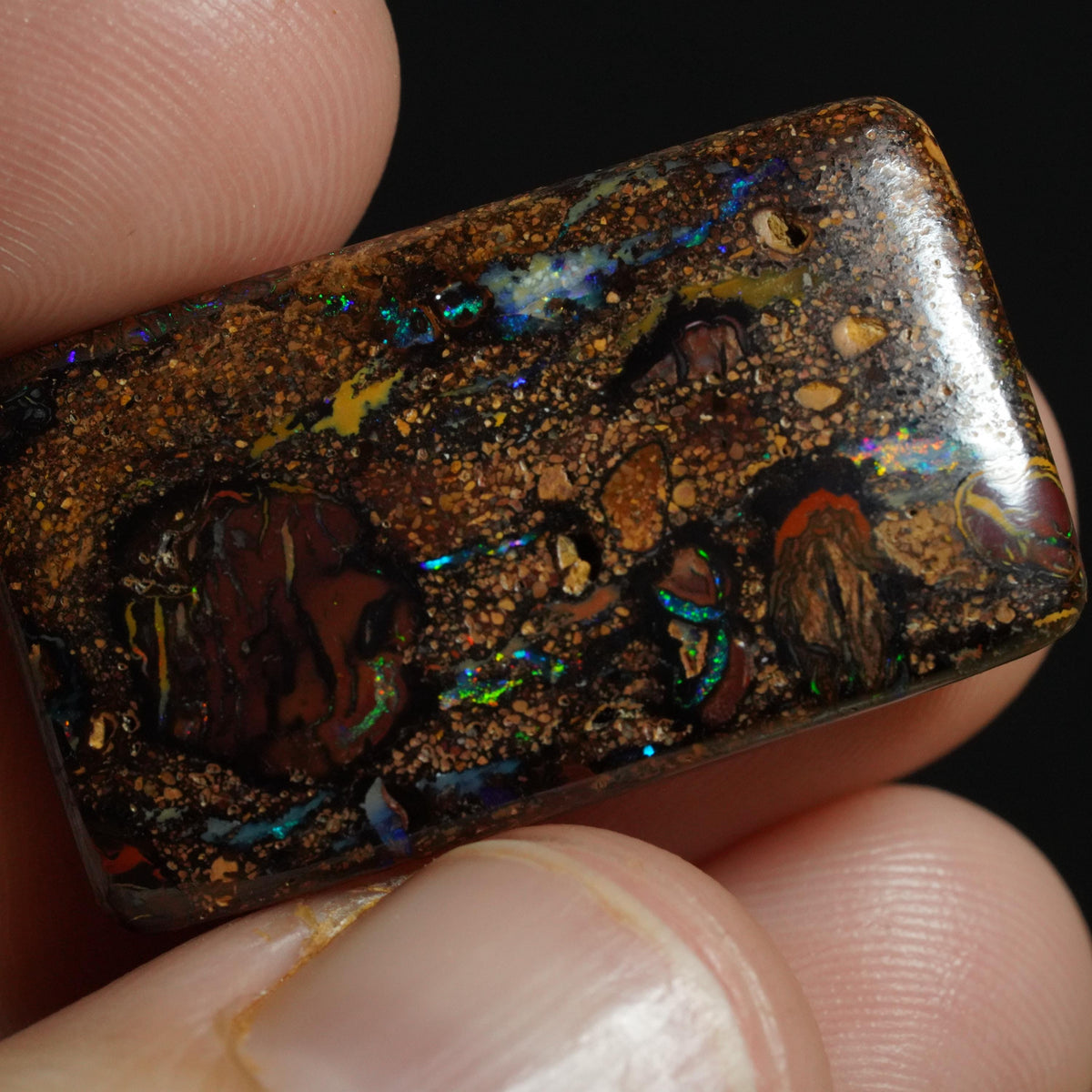 Boulder Opal Cut Stone