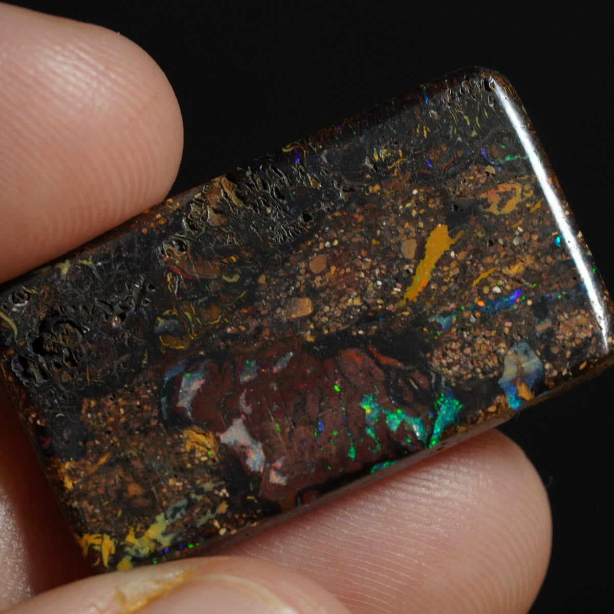 Boulder Opal Cut Stone