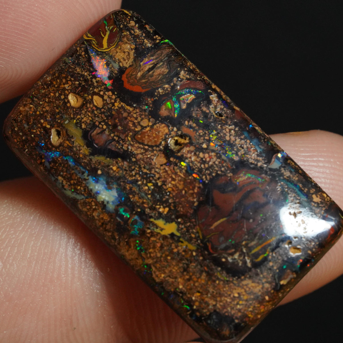 Boulder Opal Cut Stone