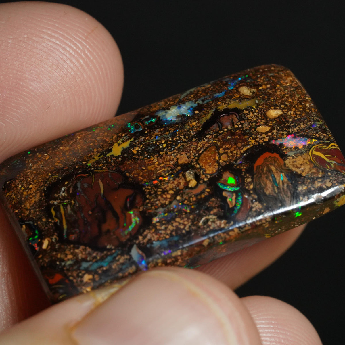 Boulder Opal Cut Stone