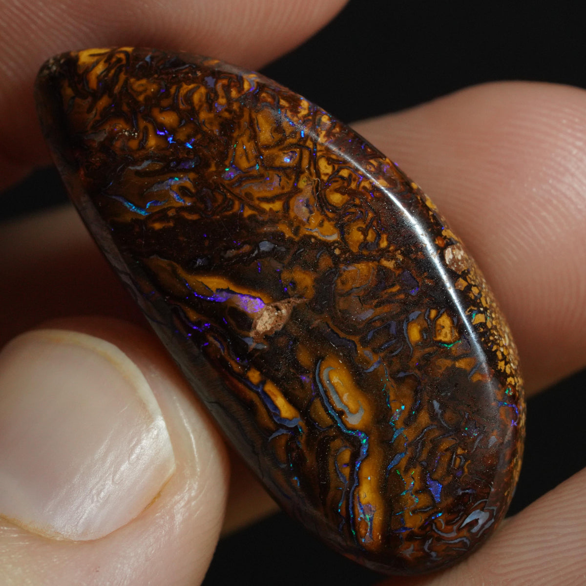 Boulder Opal Cut Stone