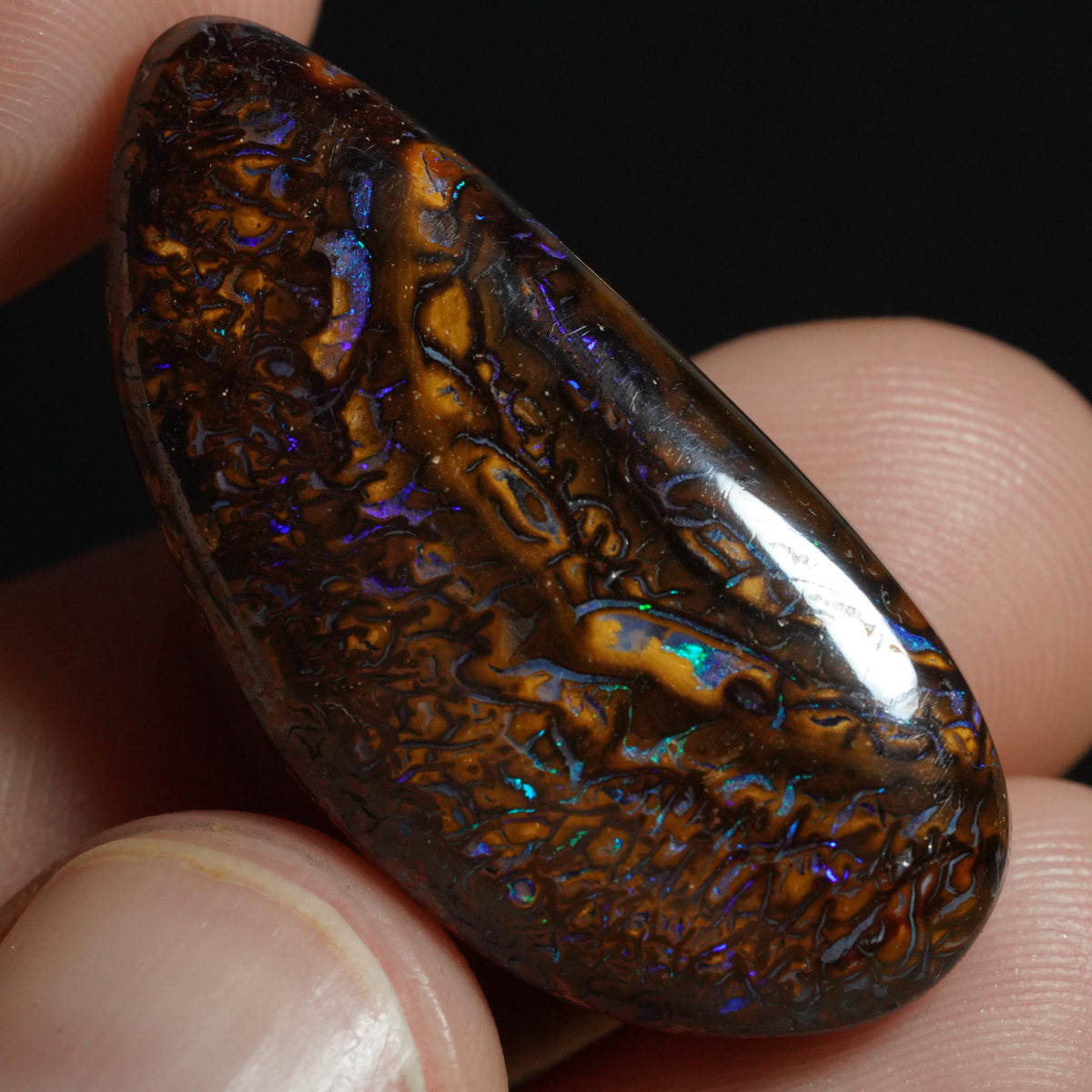 Boulder Opal Cut Stone