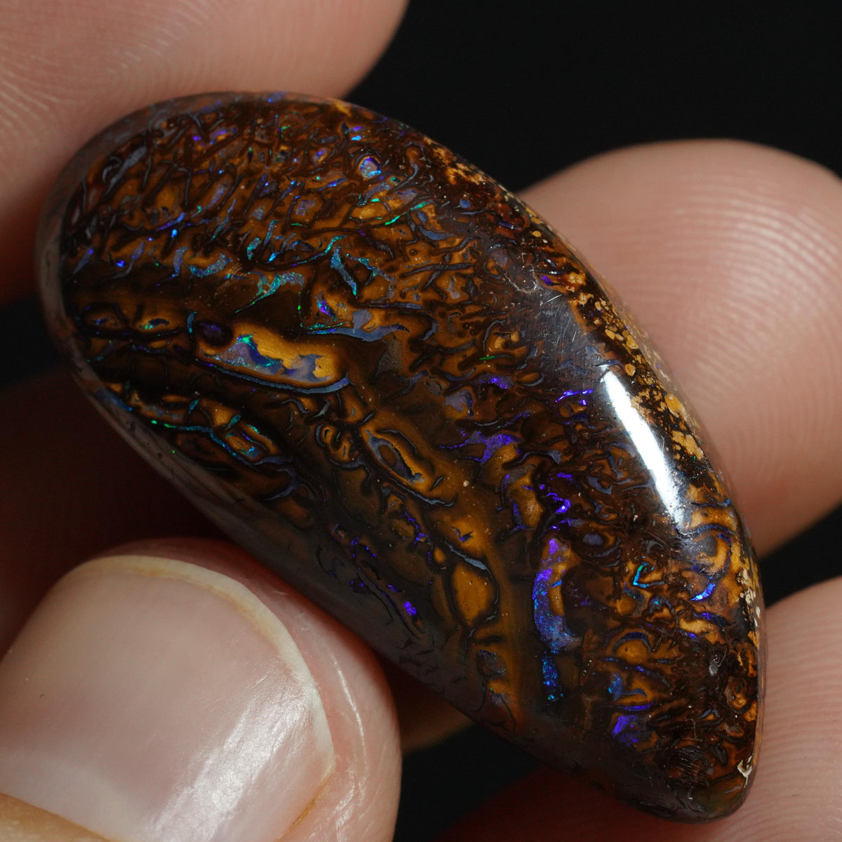 Boulder Opal Cut Stone