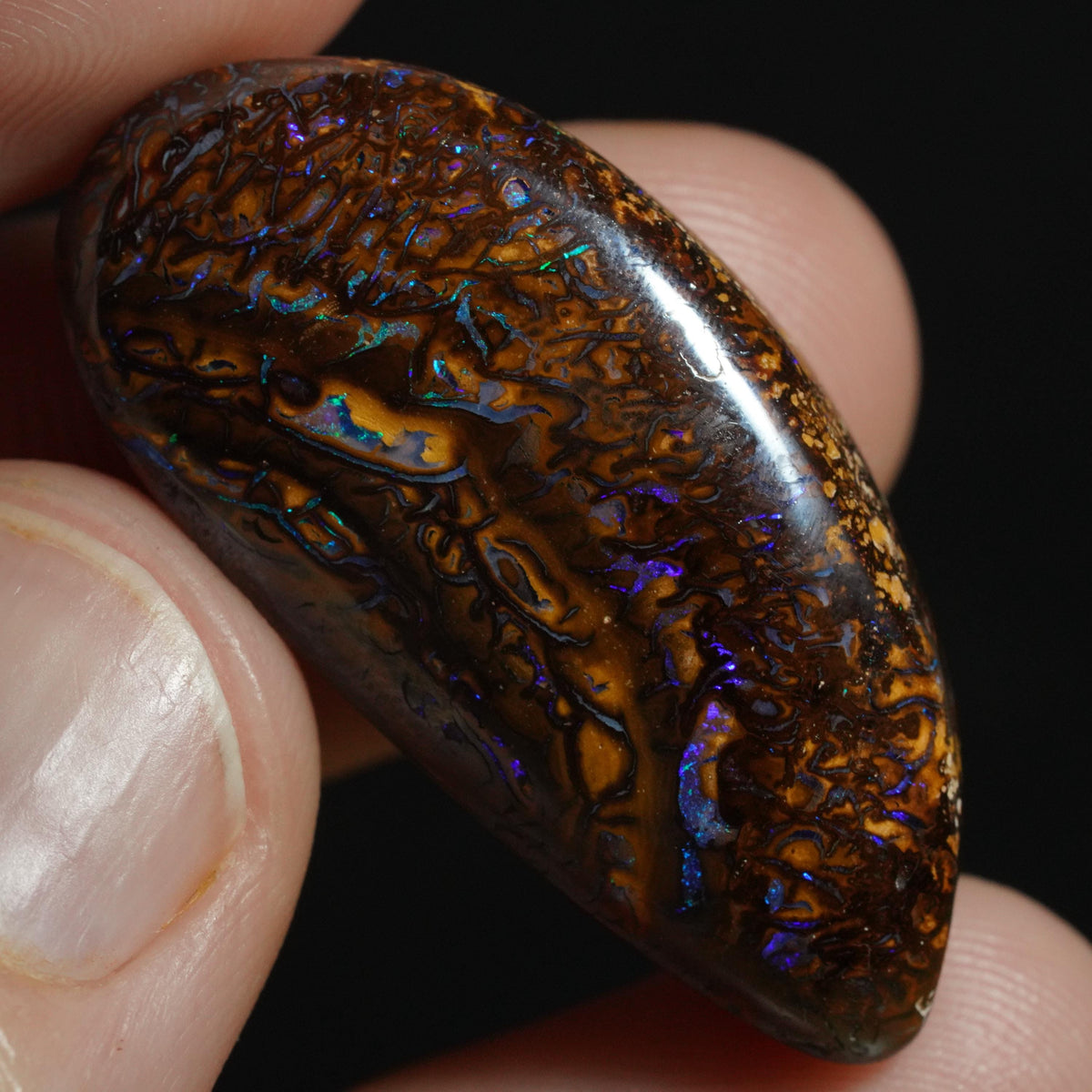Boulder Opal Cut Stone