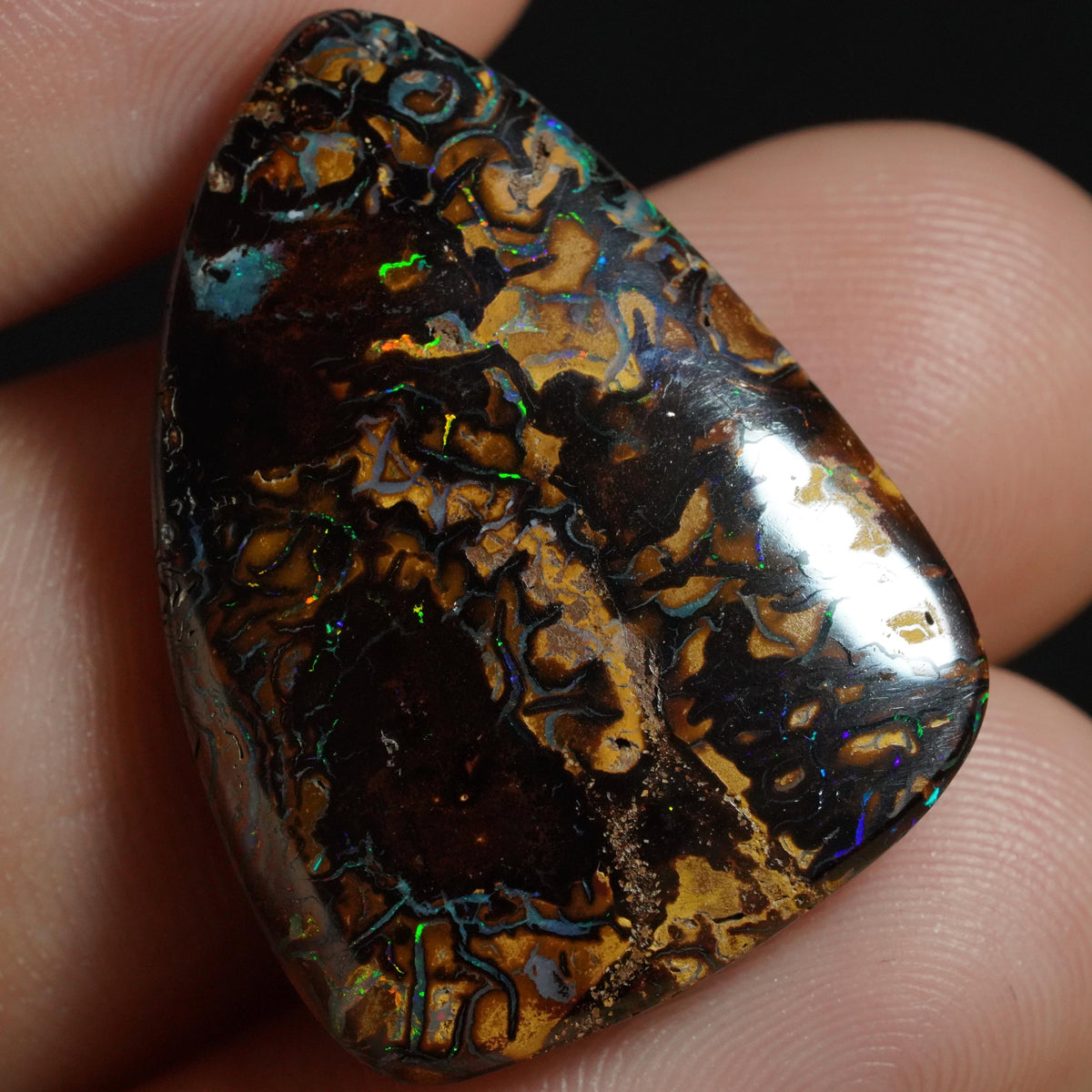 Boulder Opal Cut Stone