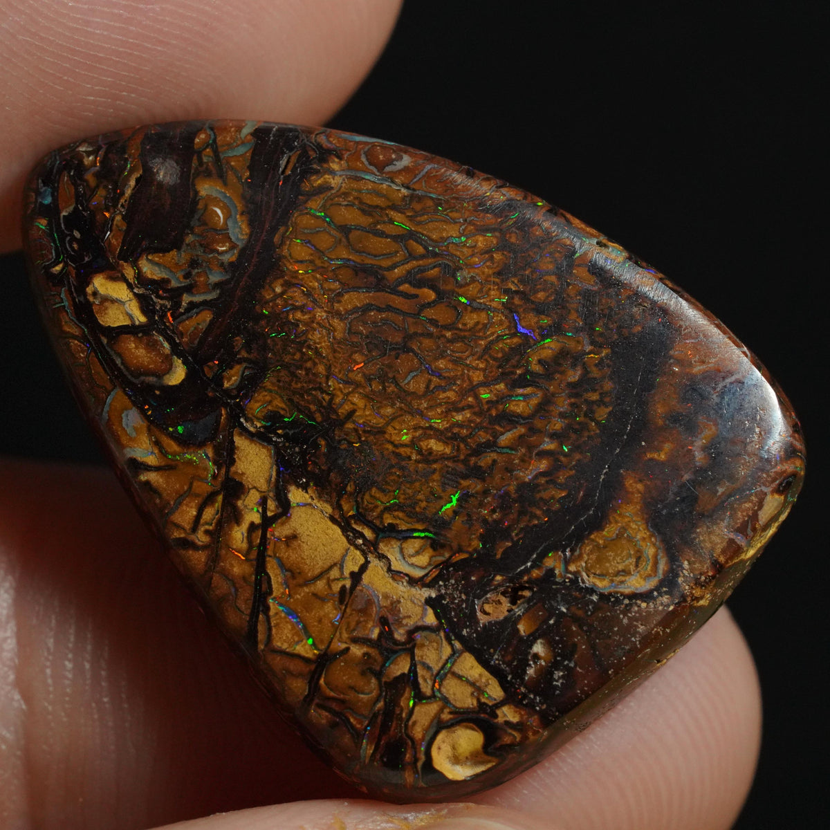 Boulder Opal Cut Stone