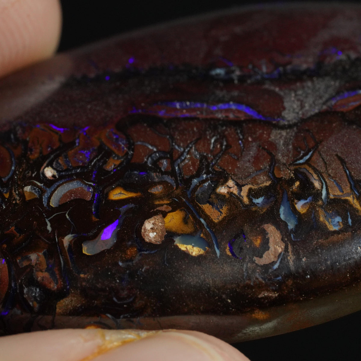 Boulder Opal Cut Stone