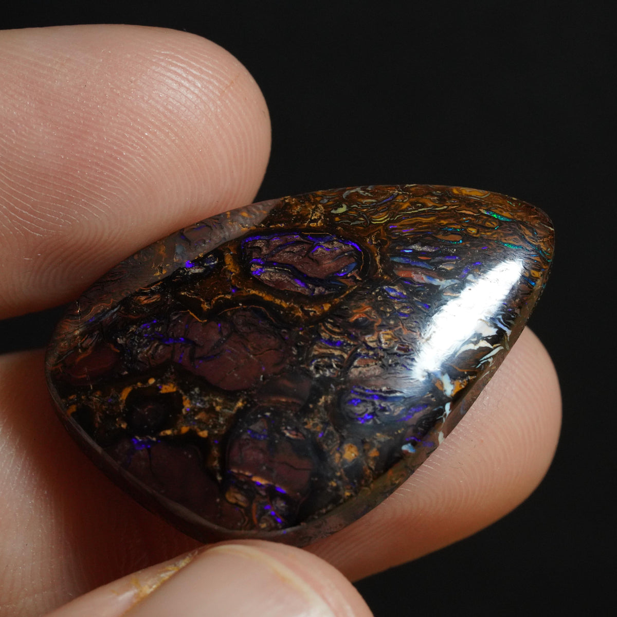 Boulder Opal Cut Stone