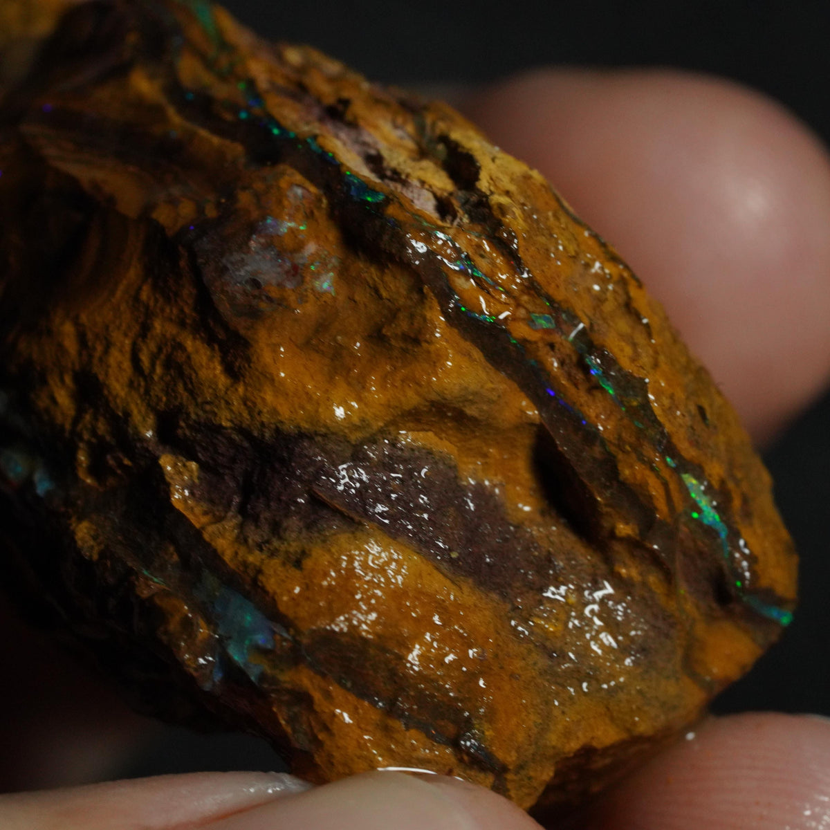 Boulder Opal Rough