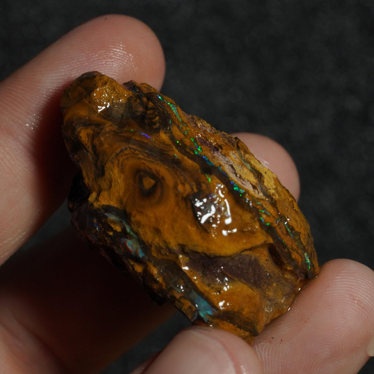 Boulder Opal Rough