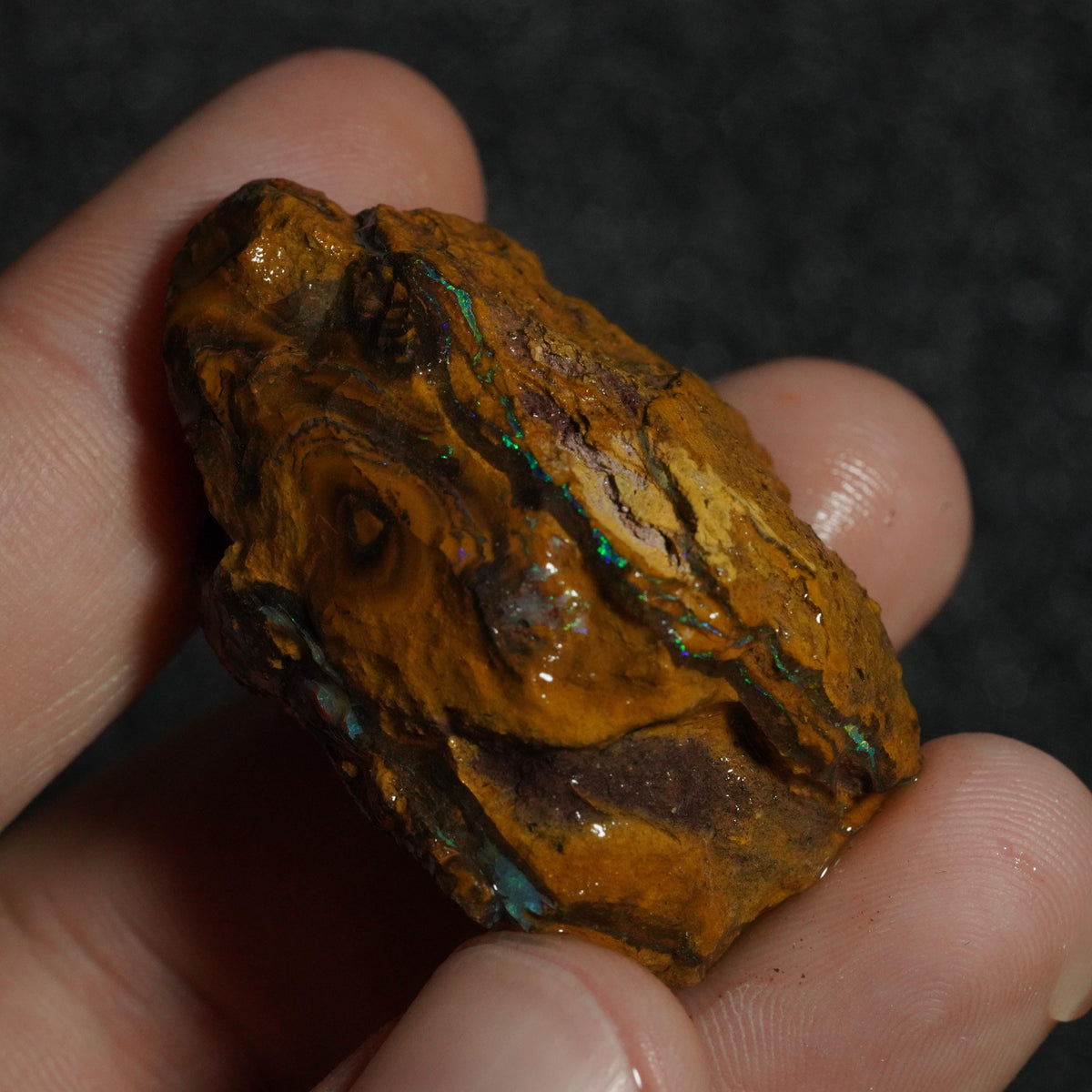 Boulder Opal Rough