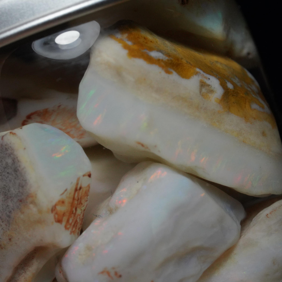 Australian Rough Opal Parcel
