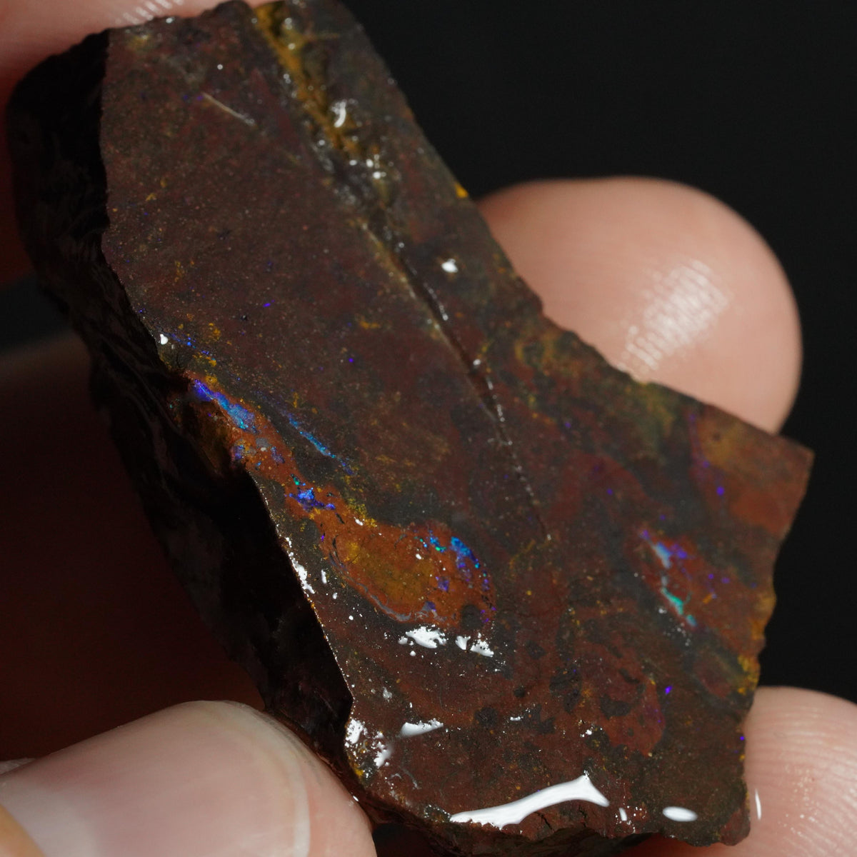 Boulder Opal Rough