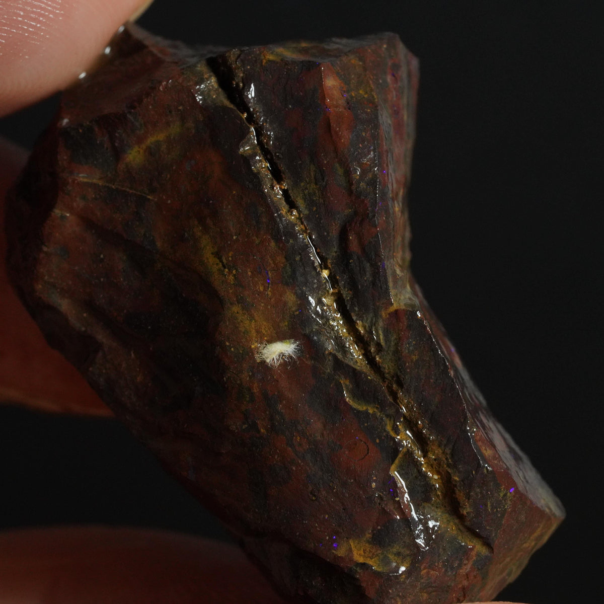 Boulder Opal Rough