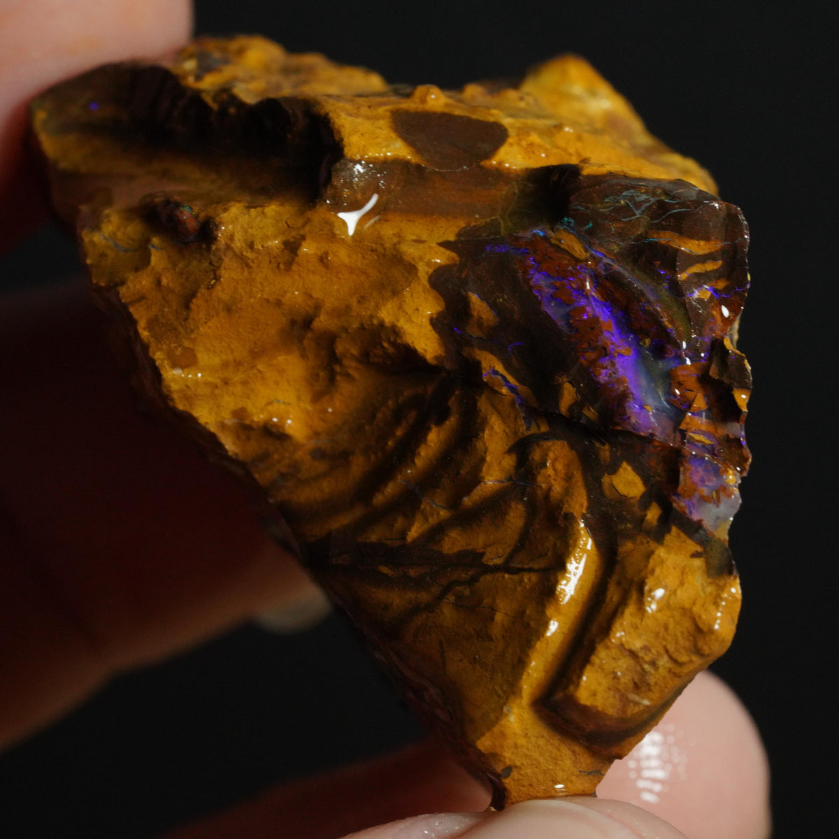 Boulder Opal Rough
