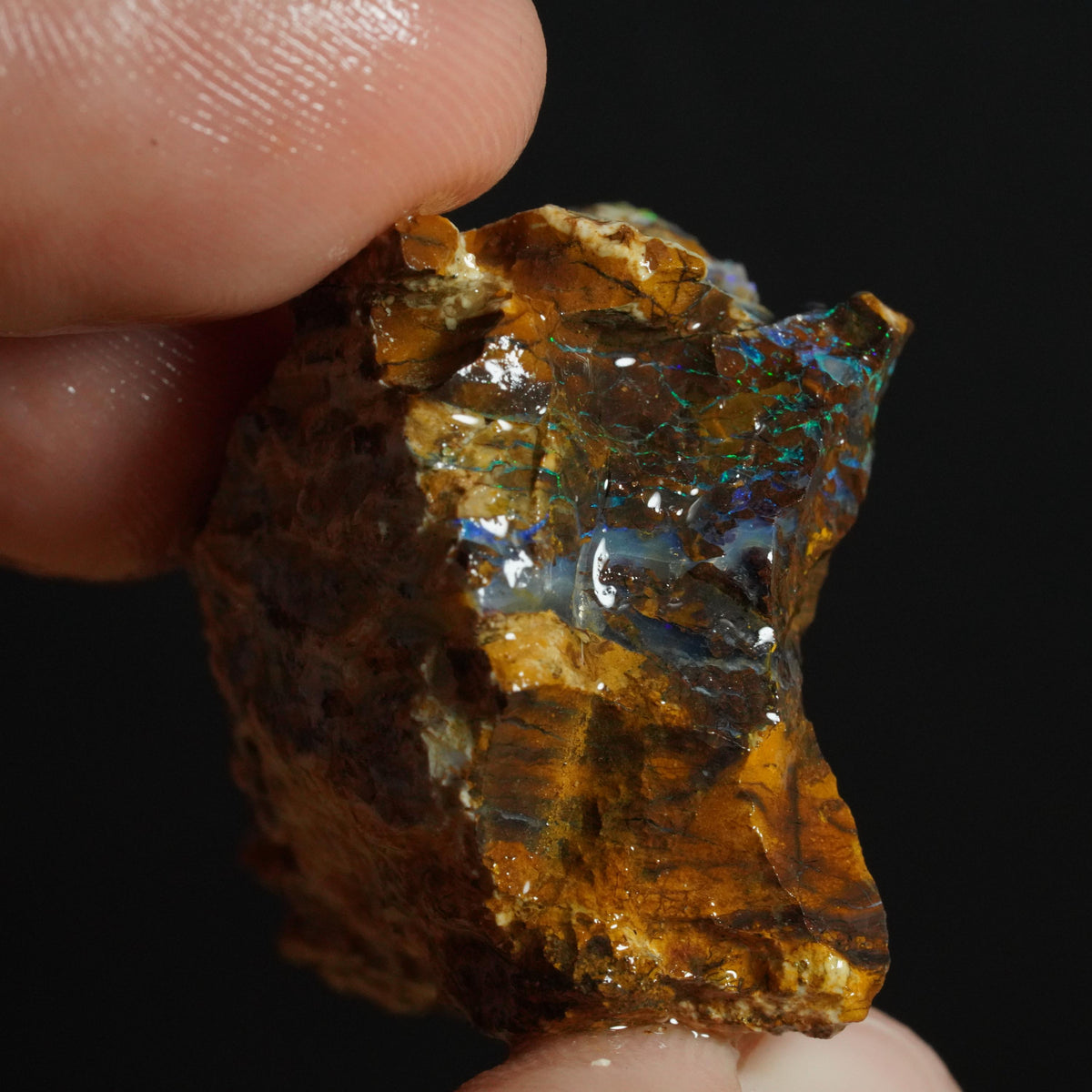Boulder Opal Rough