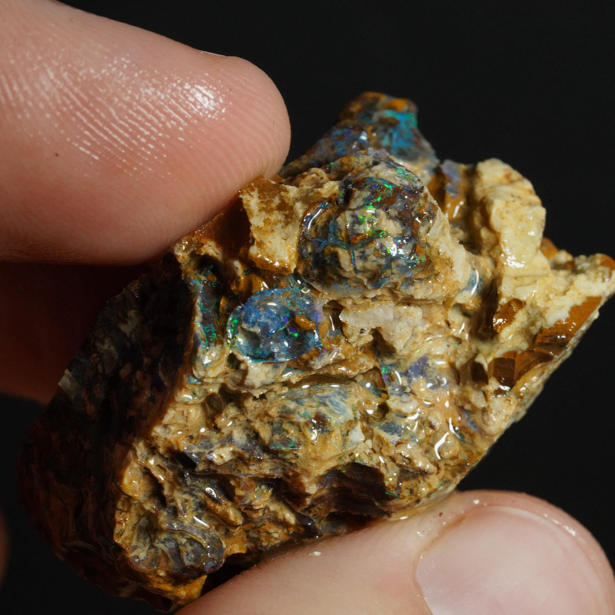 Boulder Opal Rough