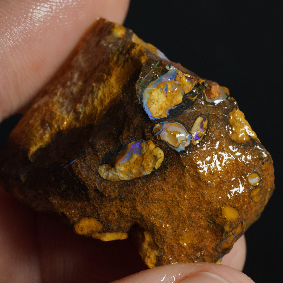 Boulder Opal Rough