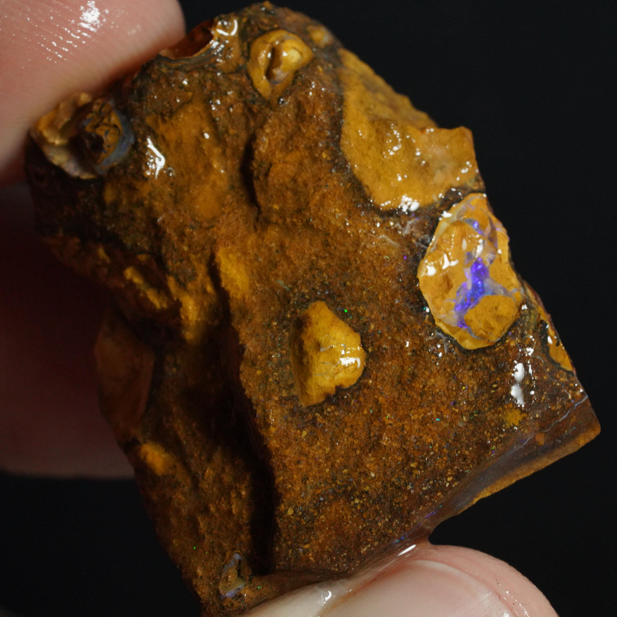Boulder Opal Rough