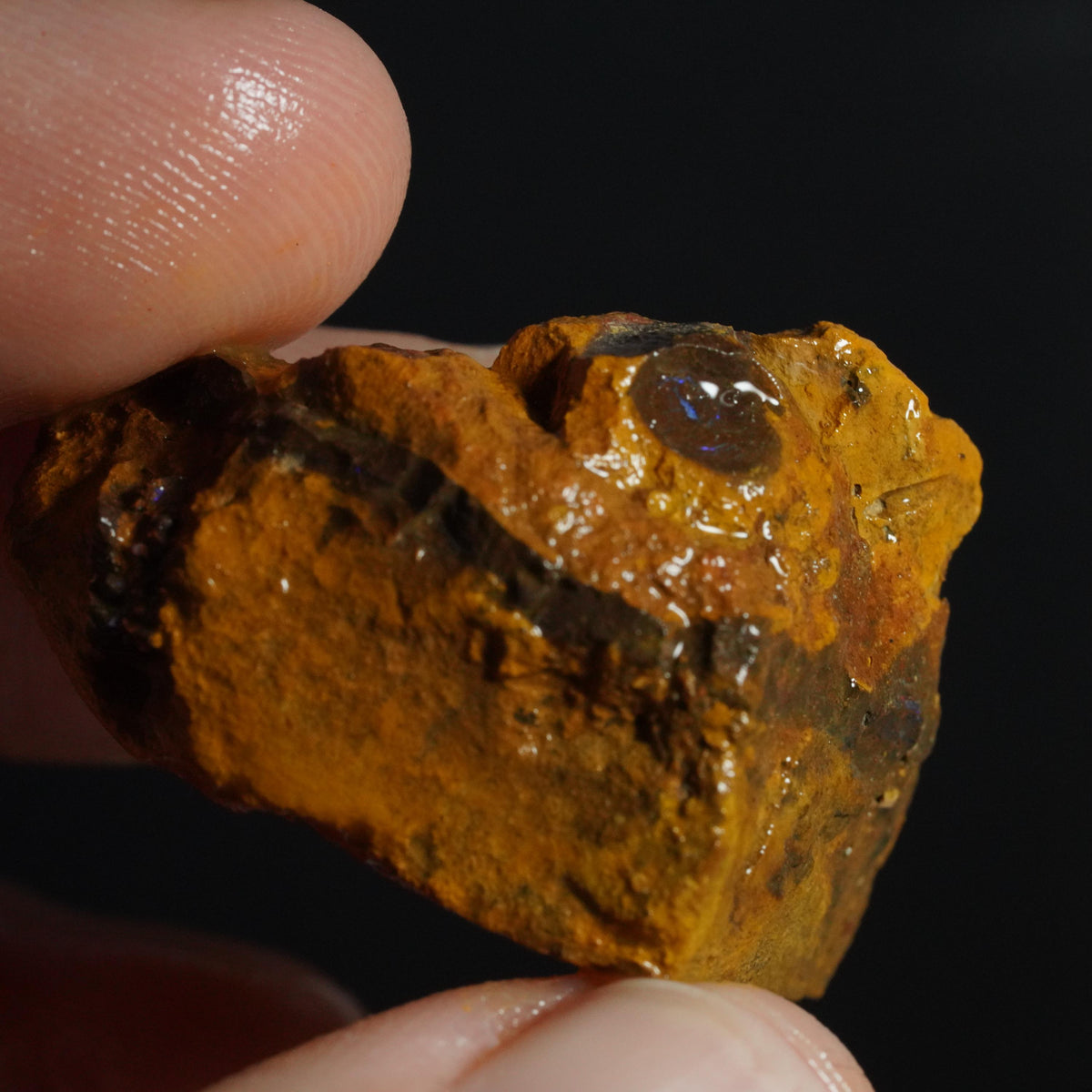 Boulder Opal Rough