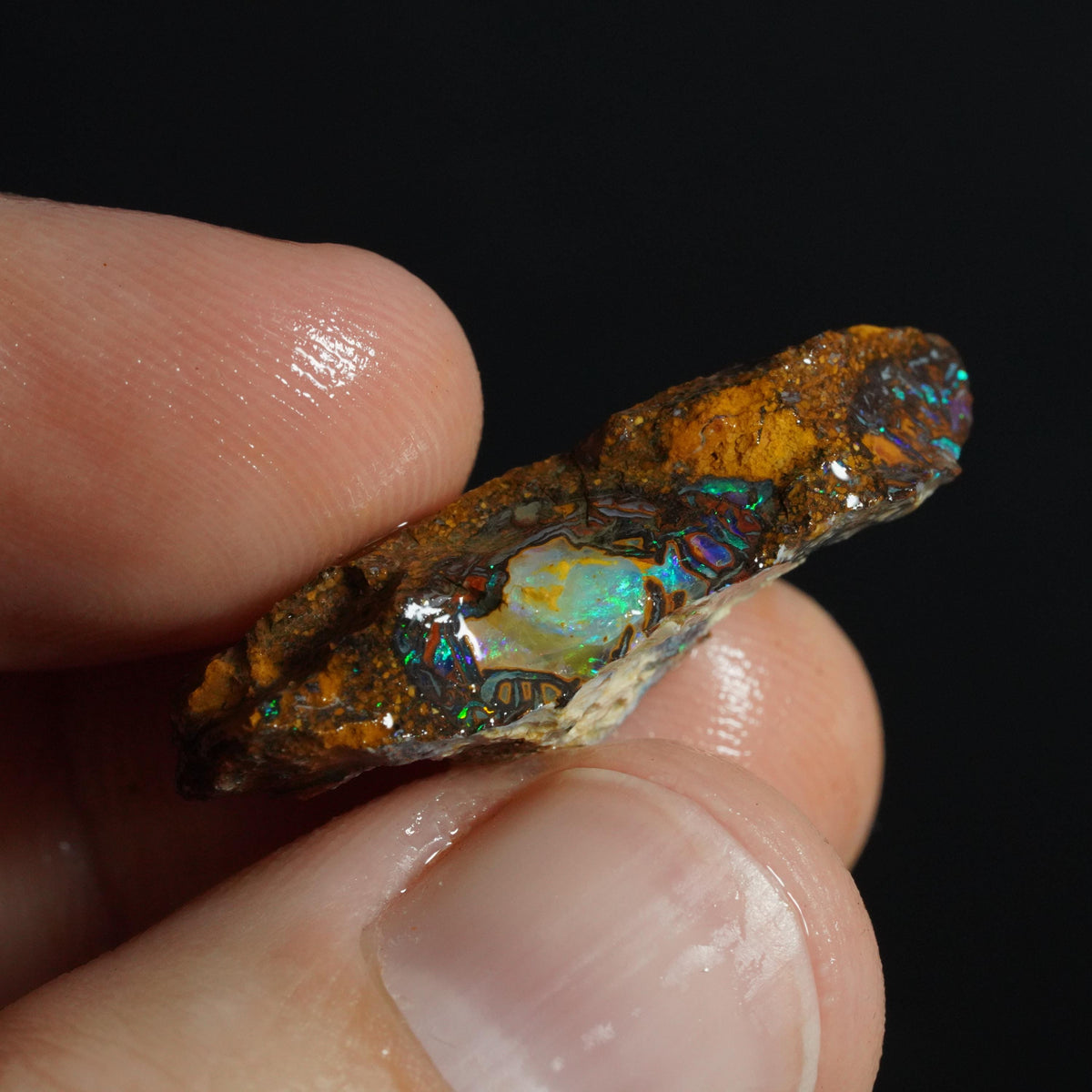 Boulder Opal Rough