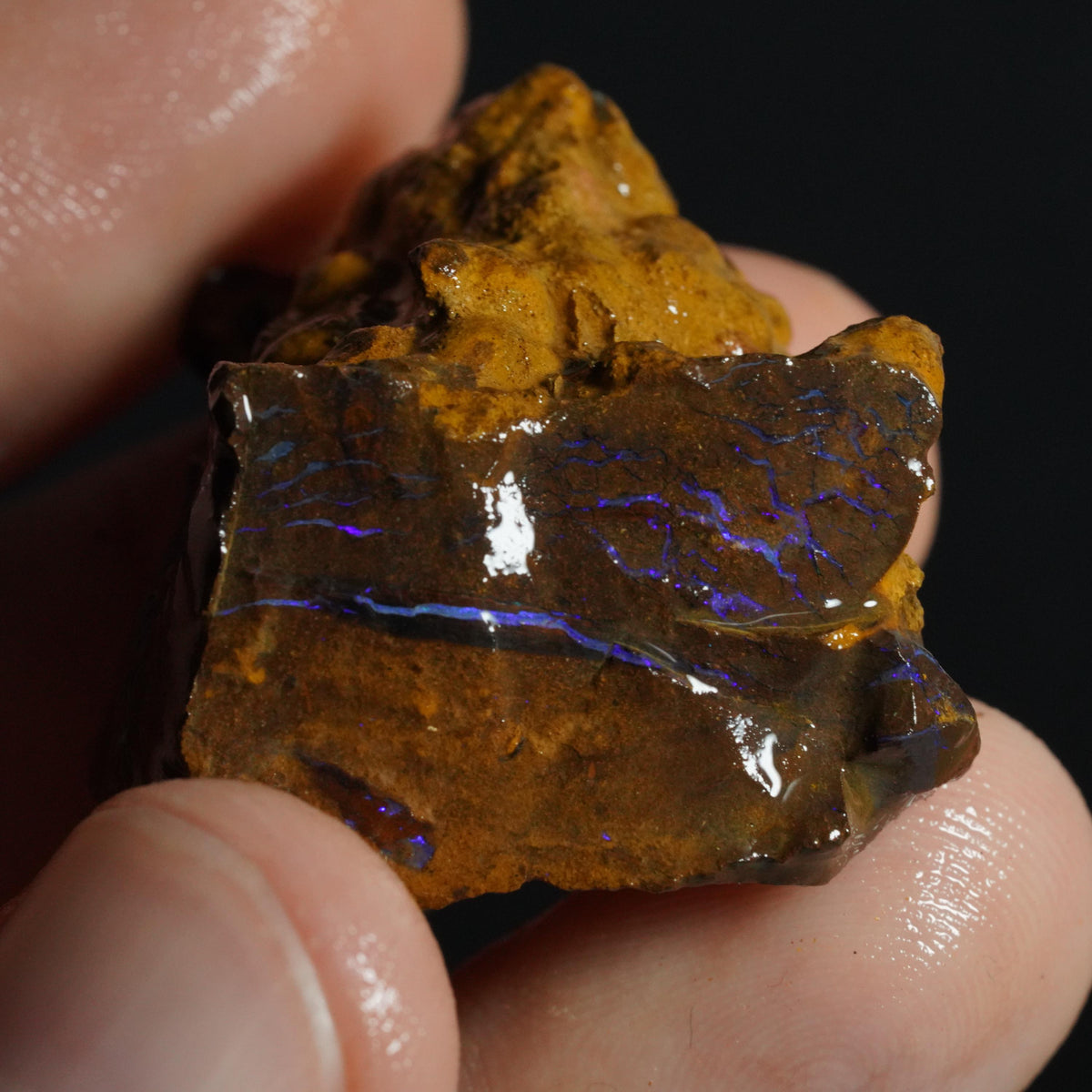 Boulder Opal Rough