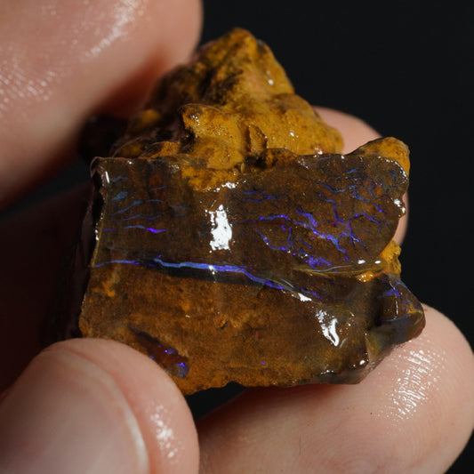 Boulder Opal Rough