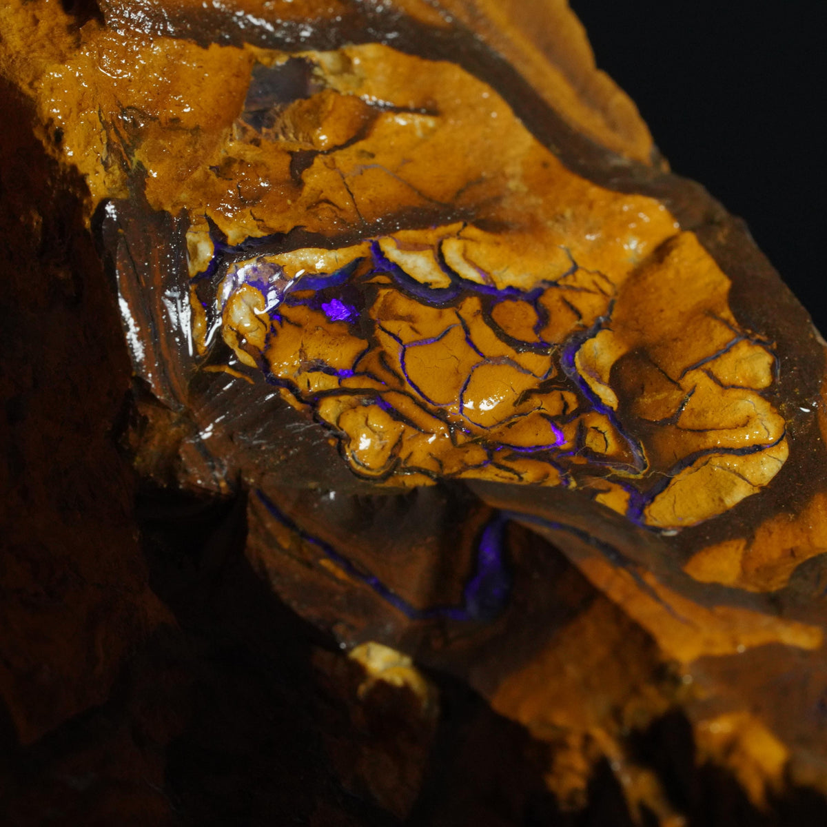 Boulder Opal Rough