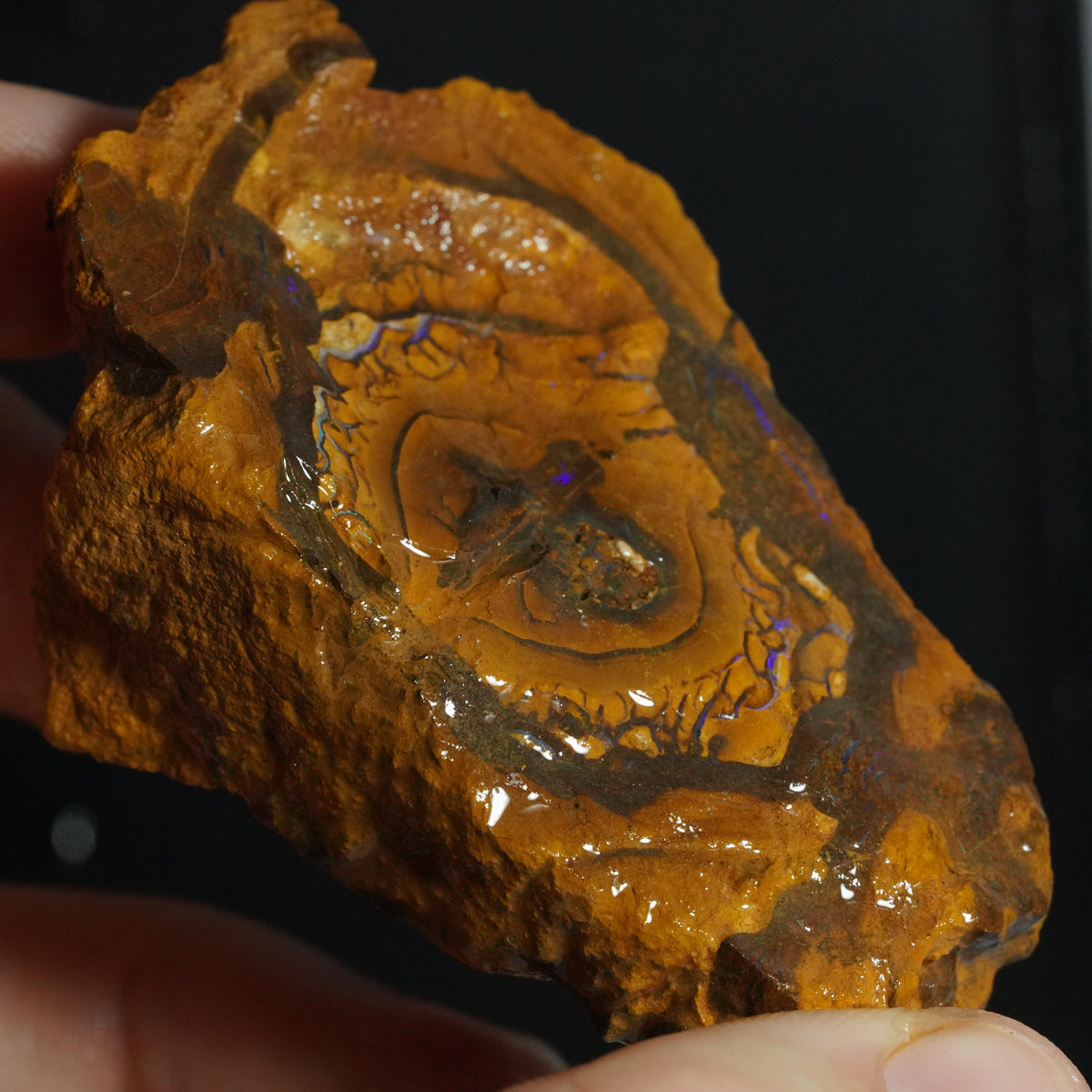 Boulder Opal Rough