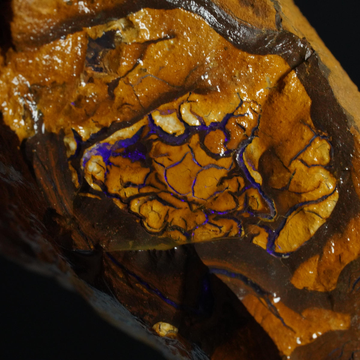 Boulder Opal Rough