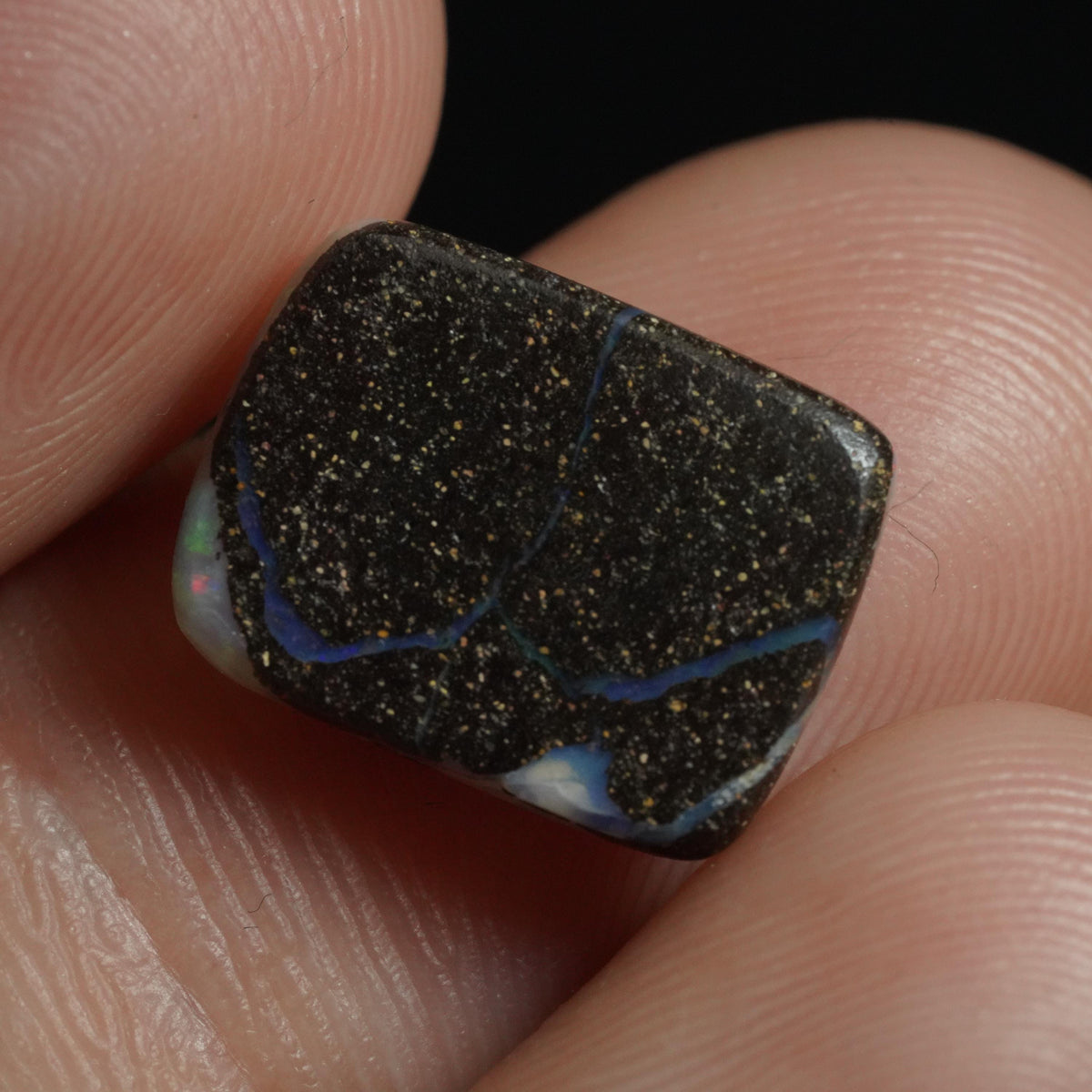Boulder Opal Cut Stone