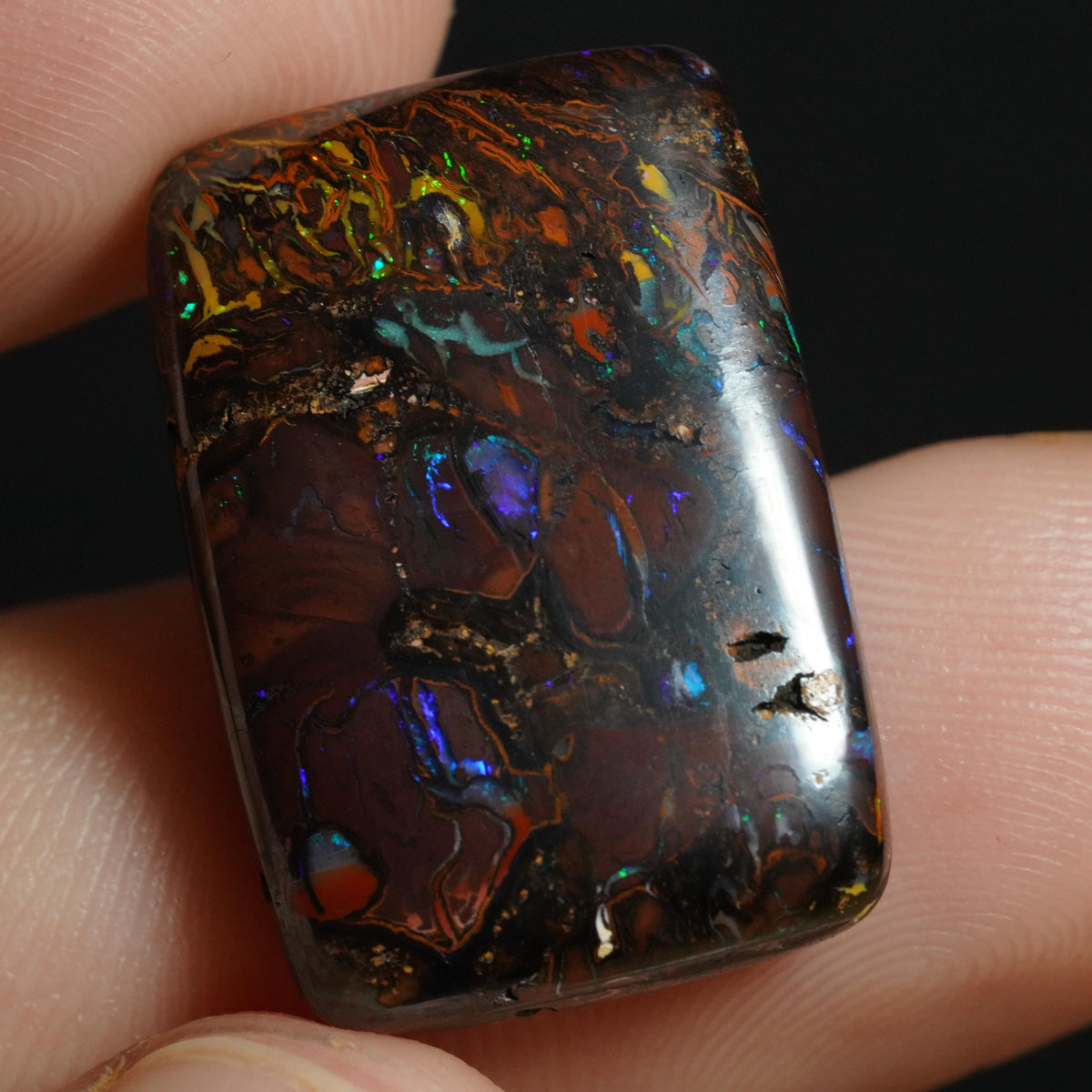 Boulder Opal Cut Stone