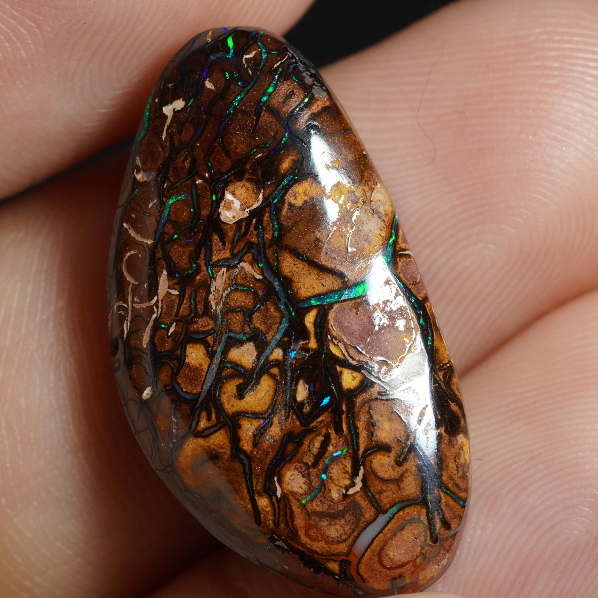 Boulder Opal Cut Stone