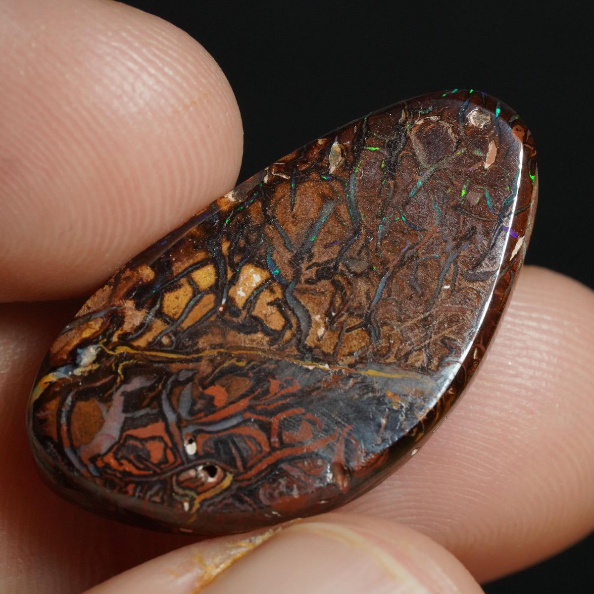 Boulder Opal Cut Stone