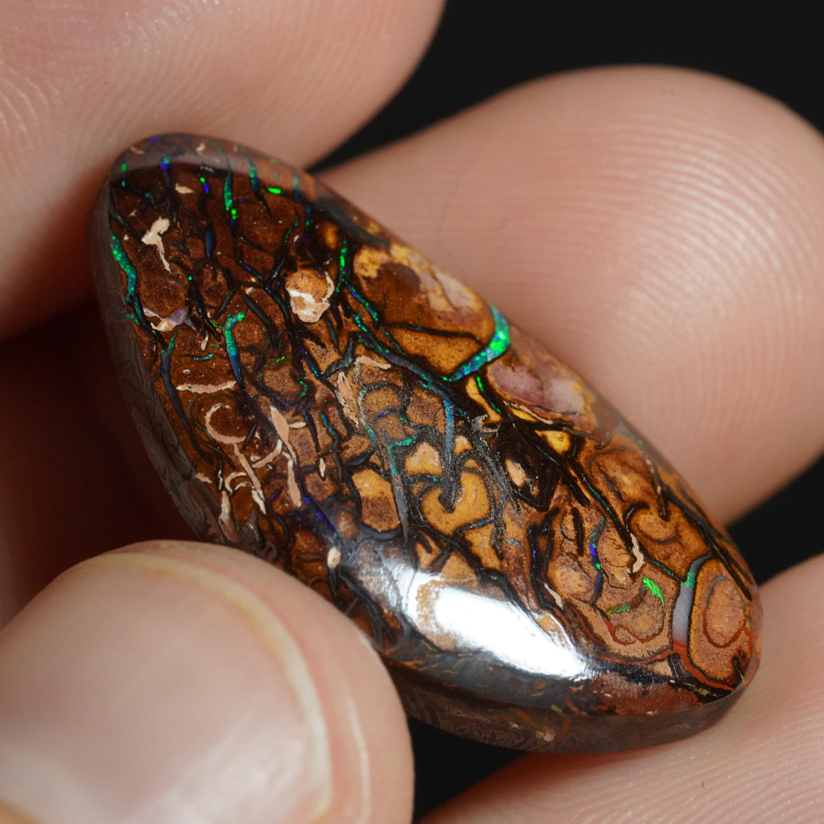 Boulder Opal Cut Stone
