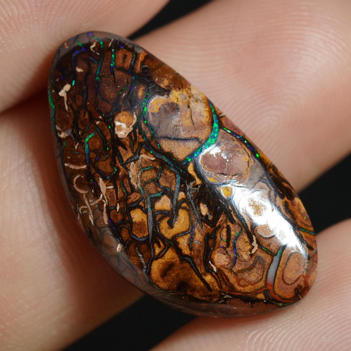 Boulder Opal Cut Stone