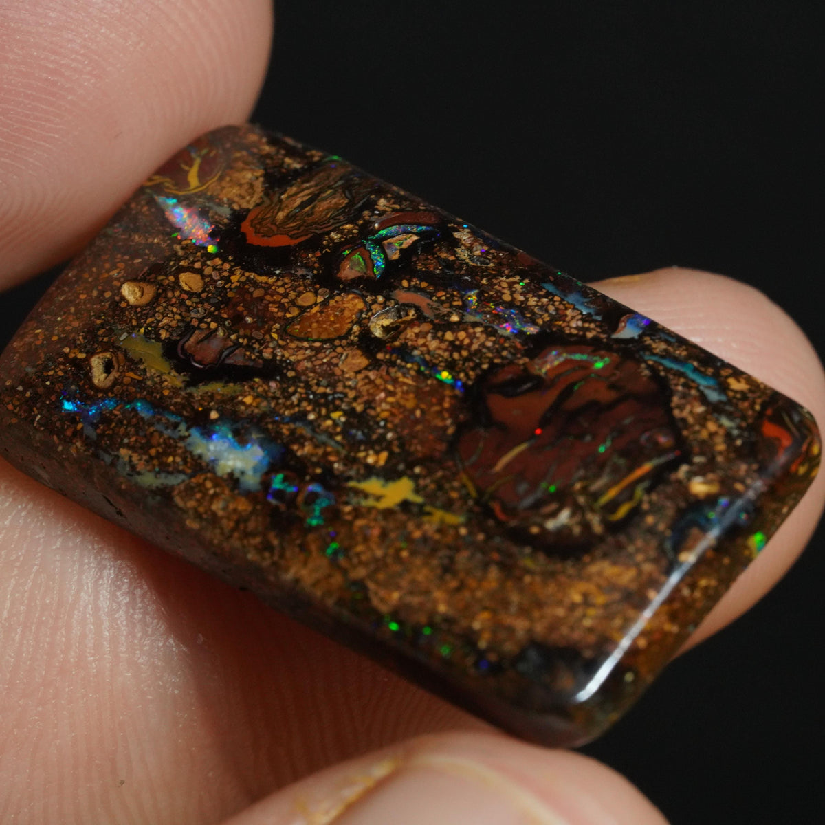 Boulder Opal Cut Stone