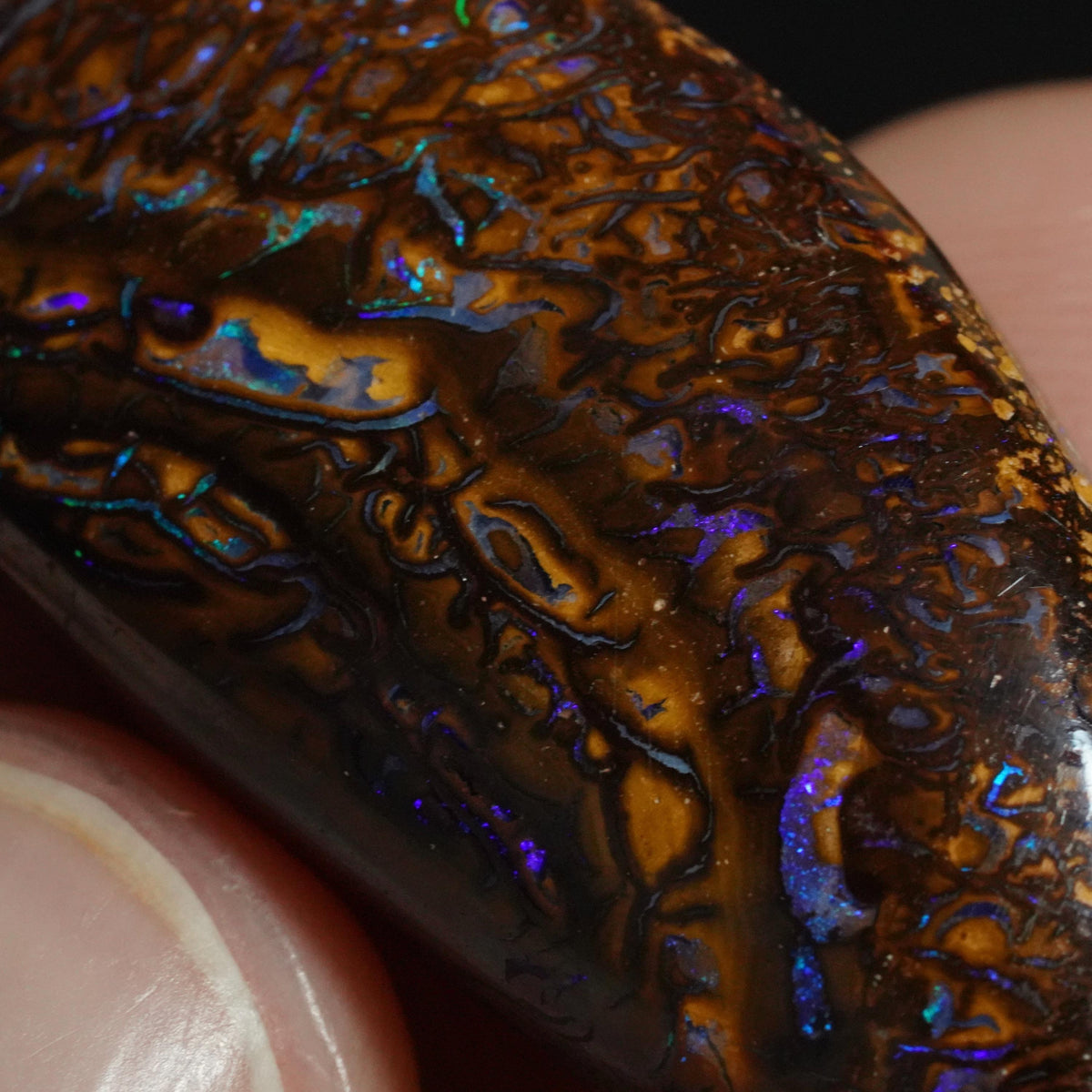 Boulder Opal Cut Stone