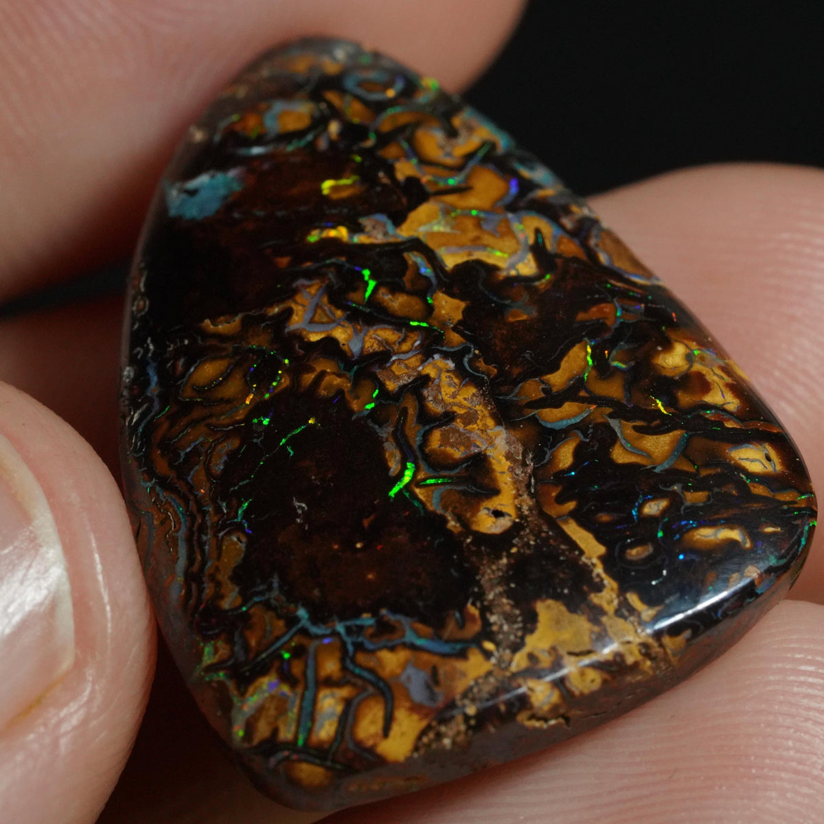Boulder Opal Cut Stone