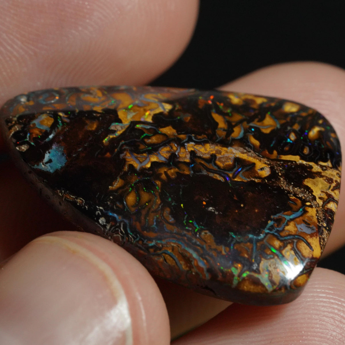 Boulder Opal Cut Stone