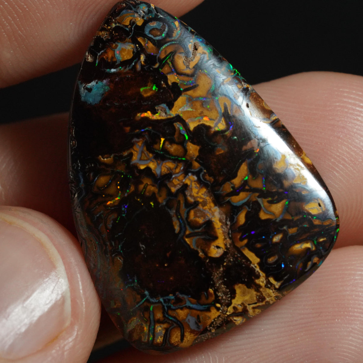 Boulder Opal Cut Stone