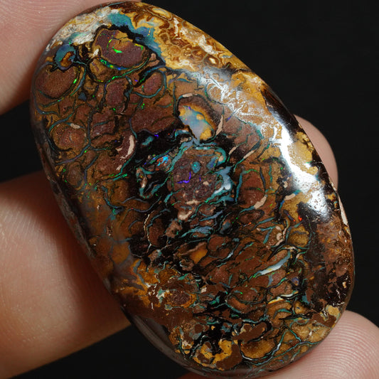 Boulder Opal Cut Stone