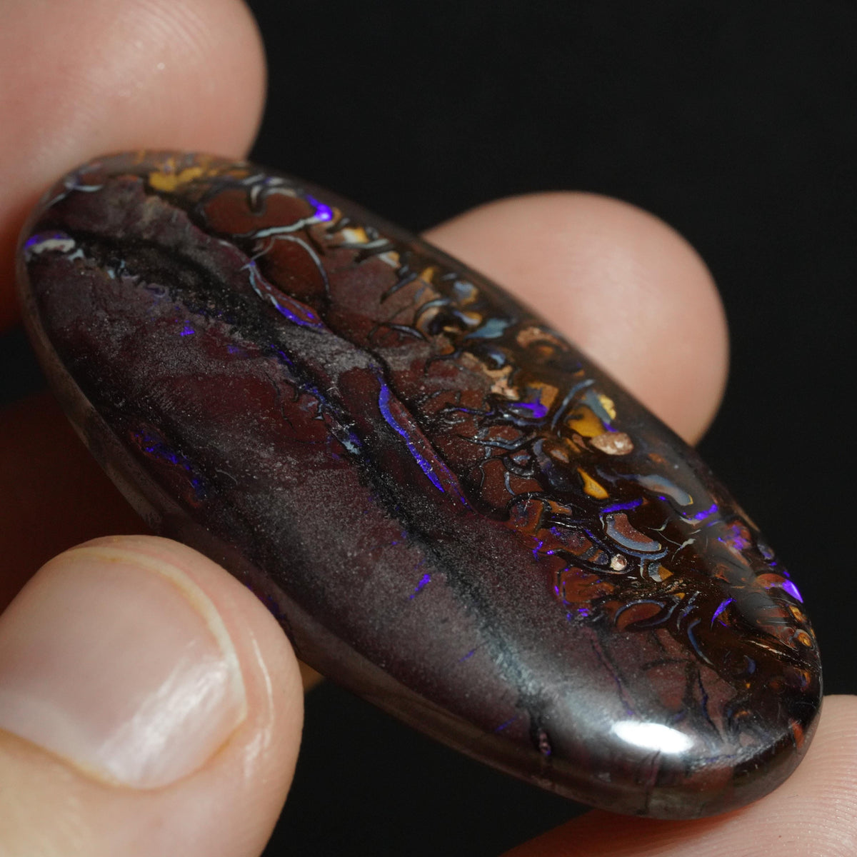 Boulder Opal Cut Stone