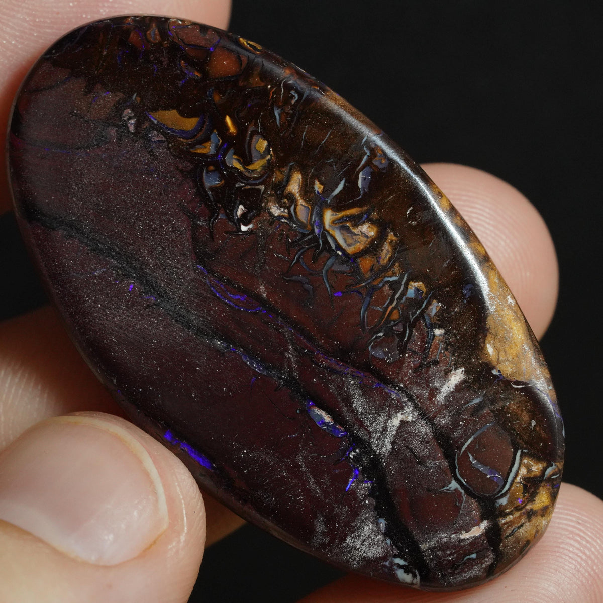 Boulder Opal Cut Stone