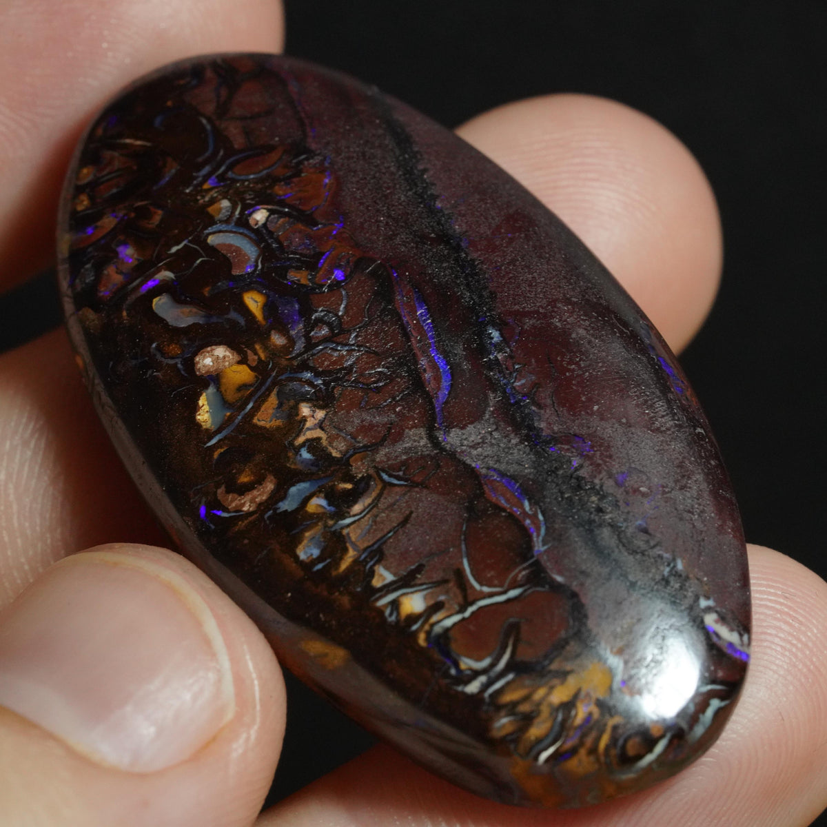 Boulder Opal Cut Stone