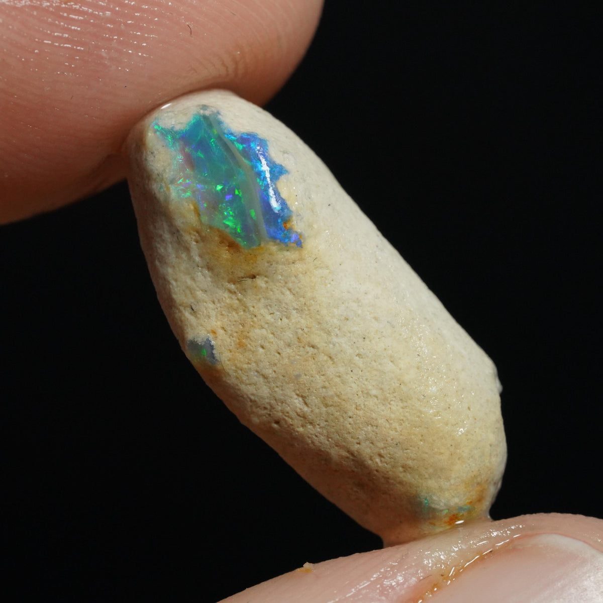 Australian Rough Opal Nobby
