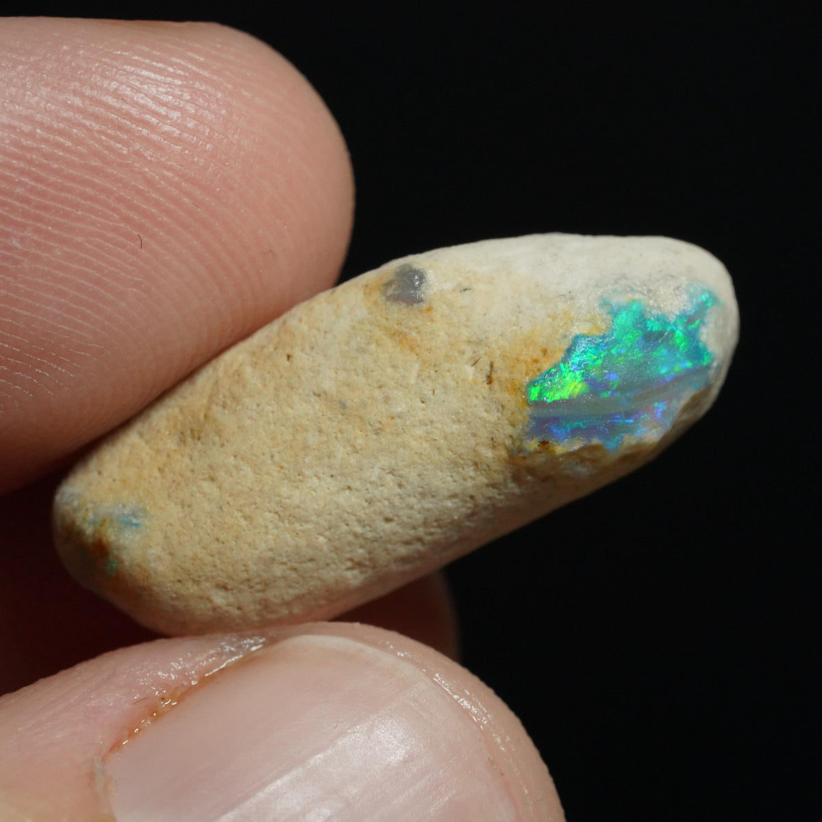 Australian Rough Opal Nobby