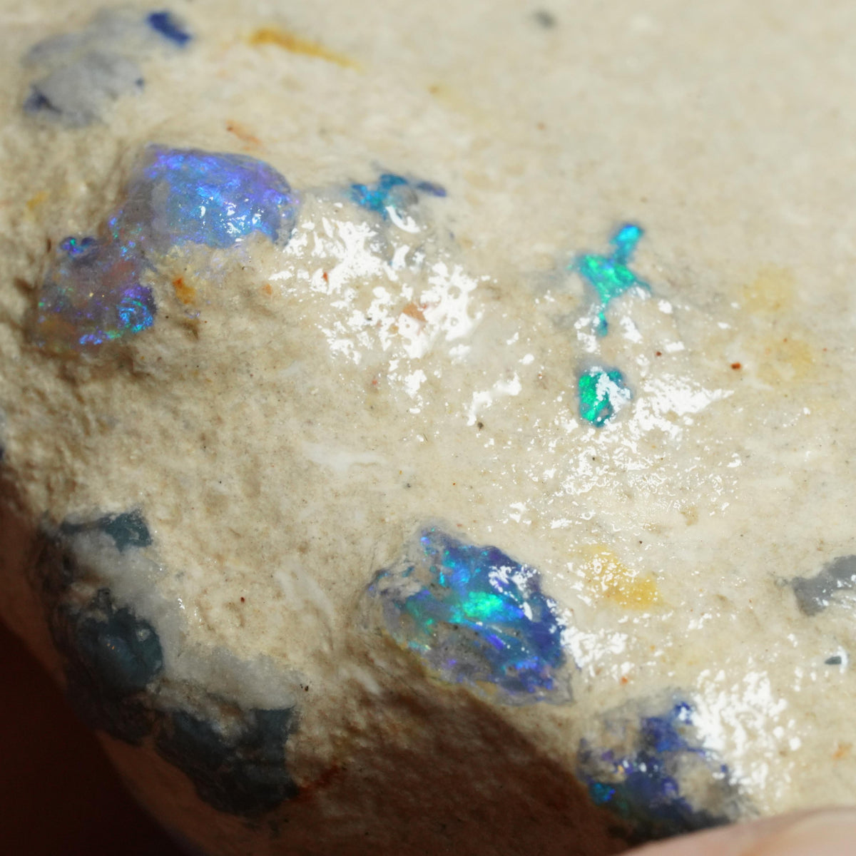 Australian Rough Opal Nobby