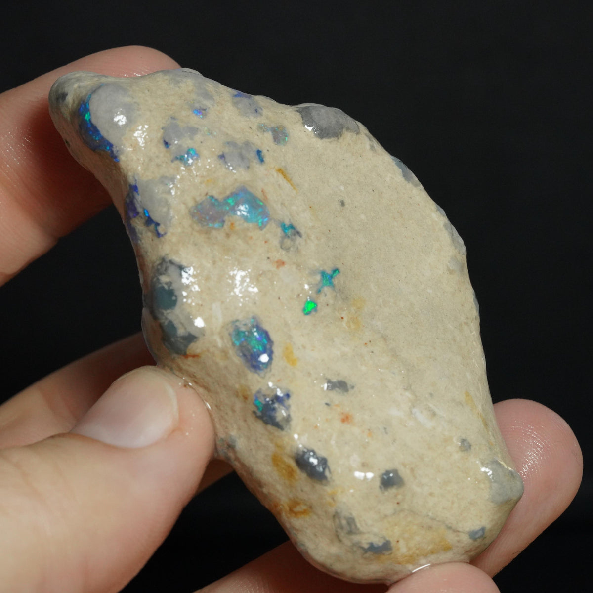 Australian Rough Opal Nobby