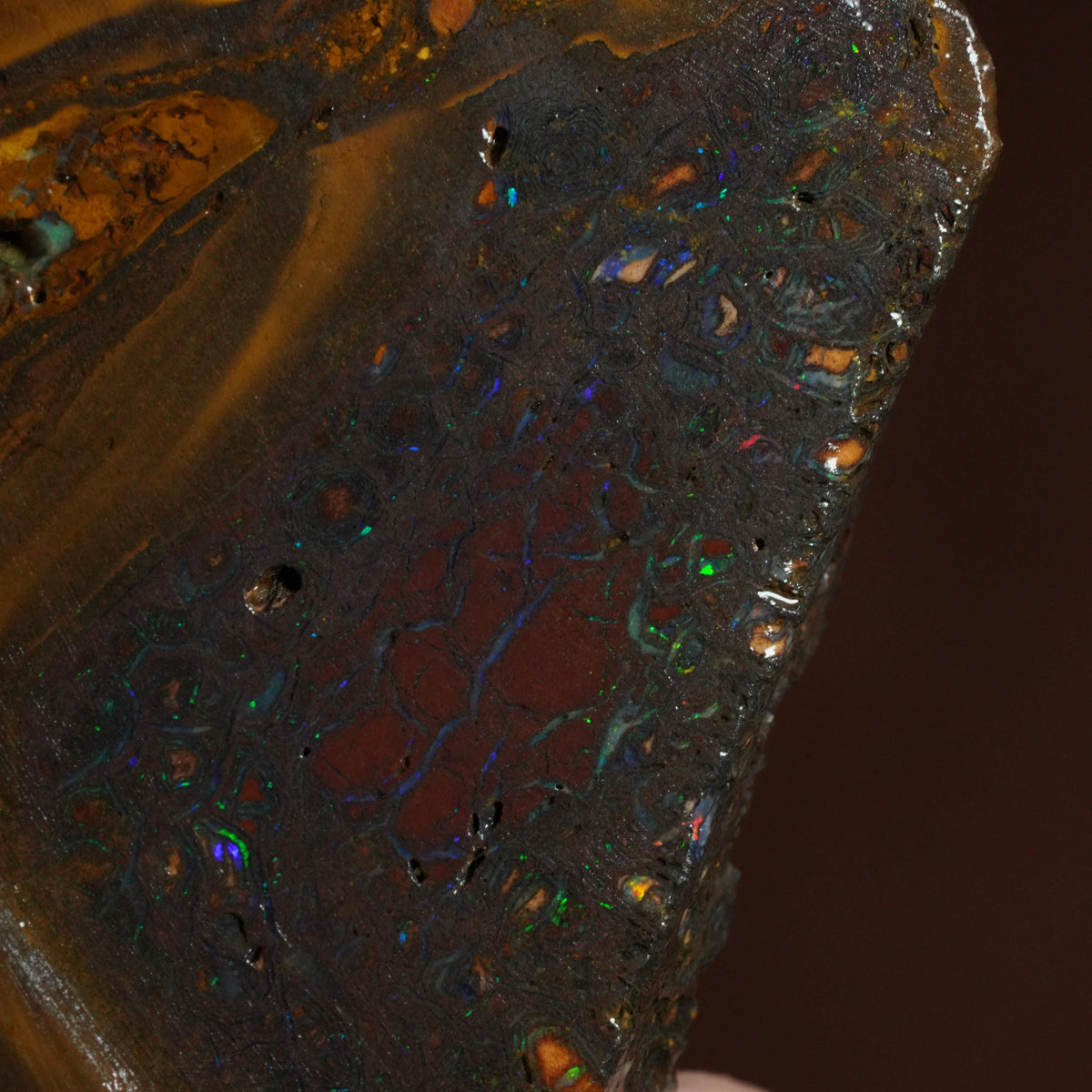 Boulder Opal Slab